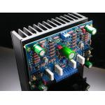 POOGE 2 MOSFET Power Amplifier Kit (Mono)