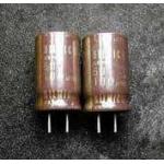 ELNA SILMIC II 100uf 50v Electrolytic Capacitor