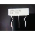 Cement 0.22 Ohm x2 2W Non-inductance Res...