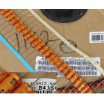 Epcos 10uF 100V Electrolytic Capacitor