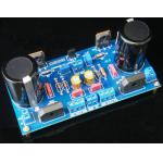 2x Passion 15 MK2 Amplifier Kit (Mono) 2SK1529 2SJ200