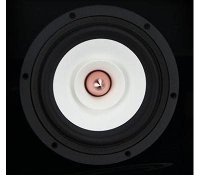 S6.5-SY 25W 6.5" 8 Ohm All-range Speaker Unit