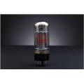 Shuguang 6L6WGB (6L6GC 6P3P) Vacuum Tube