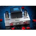 Darkvoice 3322 Headphone Amplifier